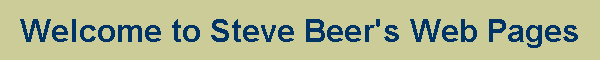 Steve Beer's WWW Pages